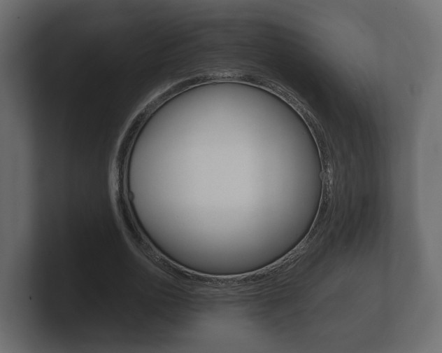 X0000101950726200807180702