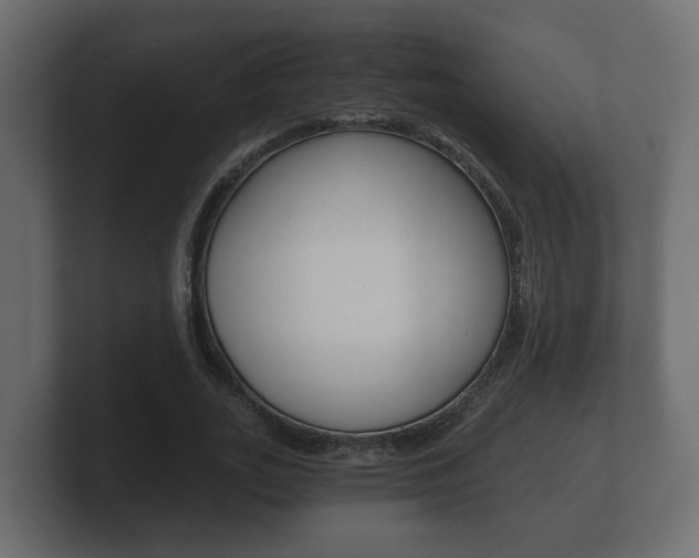 X0000101950727200807180702