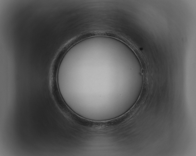 X0000101950728200807180702