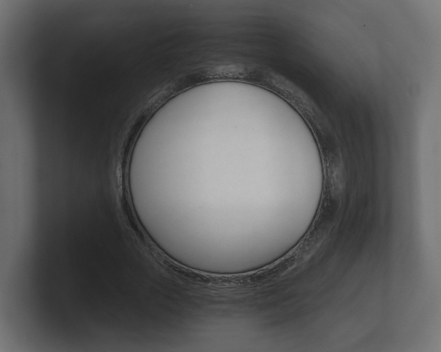 X0000101950729200807180702