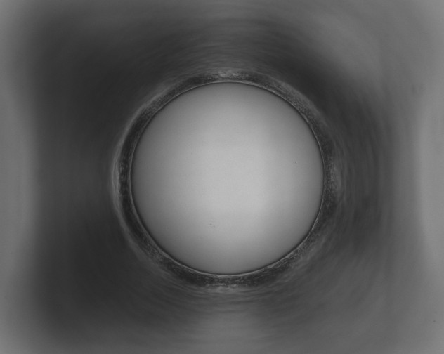 X0000101950730200807180702