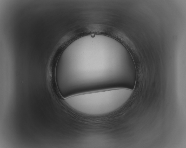 X0000101950731200807180702