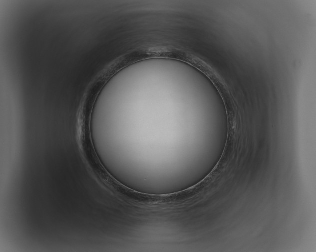 X0000101950732200807180702