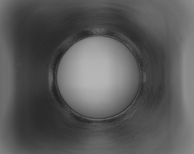 X0000101950733200807180702