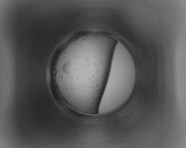 X0000101950734200807180702
