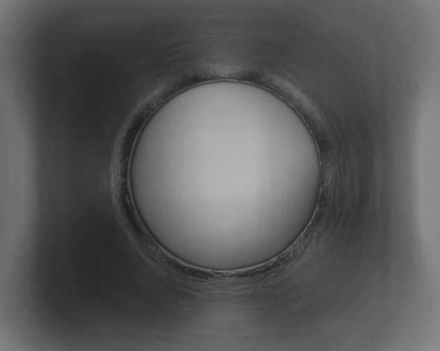 X0000101950736200807180702