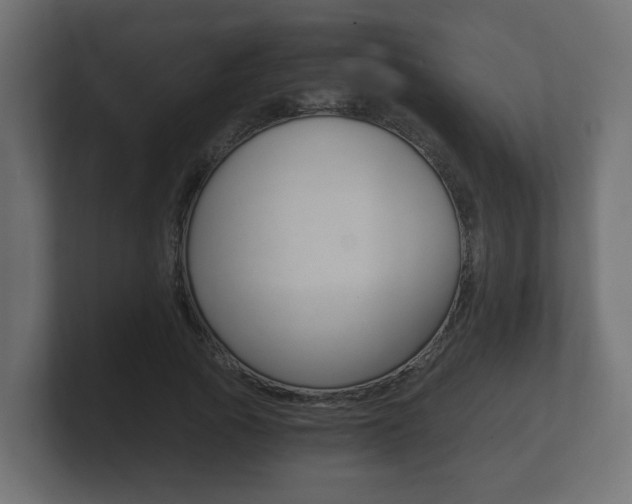 X0000101950737200807180702