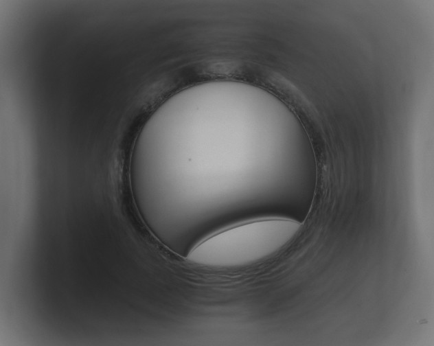 X0000101950739200807180702