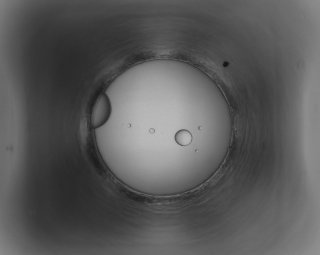 X0000101950740200807180702