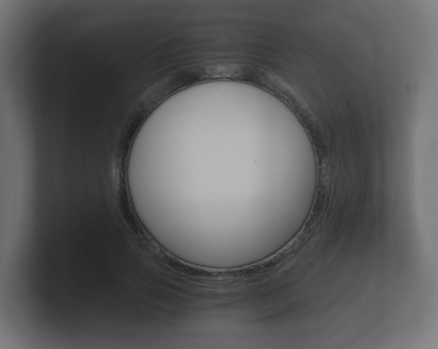 X0000101950741200807180702
