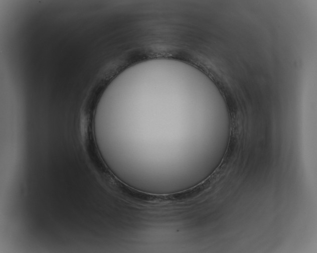 X0000101950742200807180702