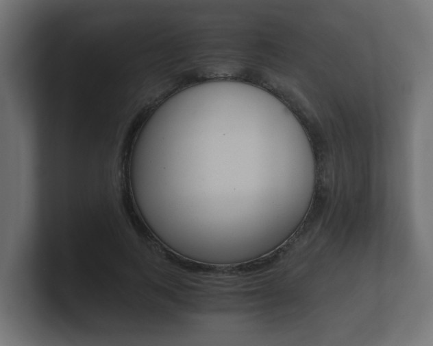 X0000101950743200807180702