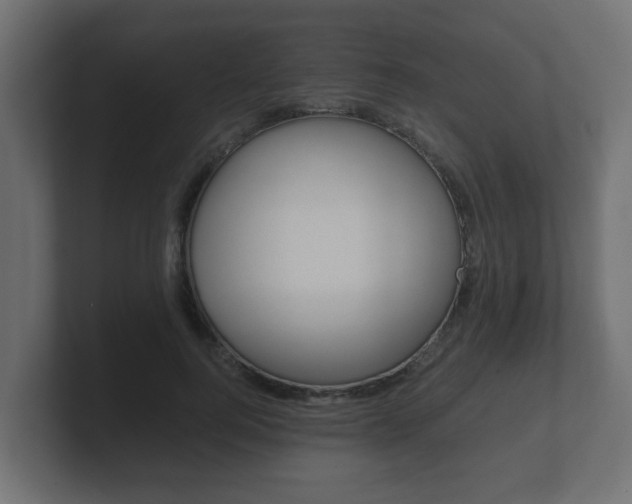 X0000101950744200807180702