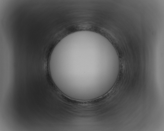 X0000101950745200807180702