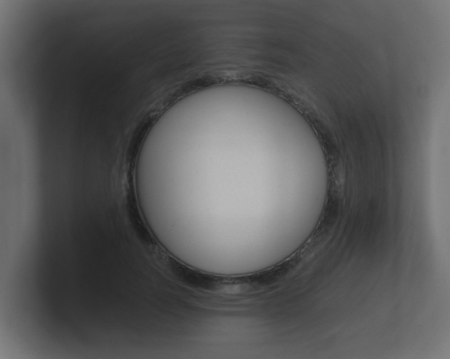 X0000101950746200807180702