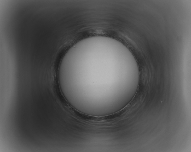 X0000101950747200807180702