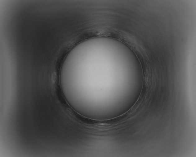 X0000101950748200807180702