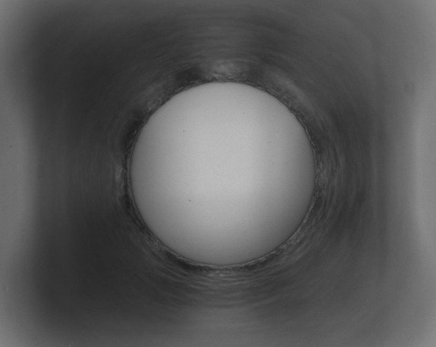 X0000101950749200807180702