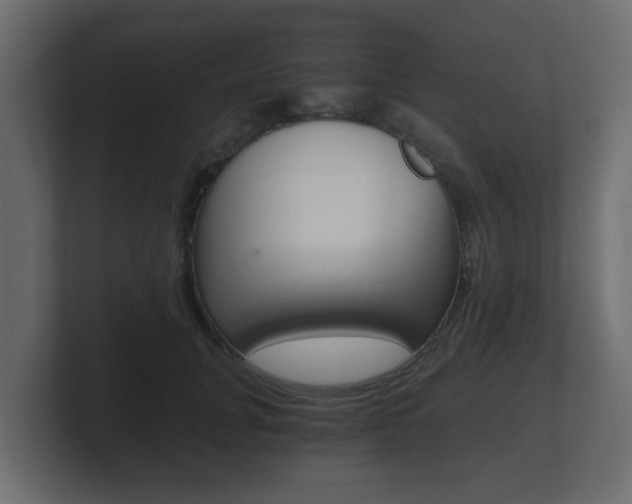 X0000101950751200807180702