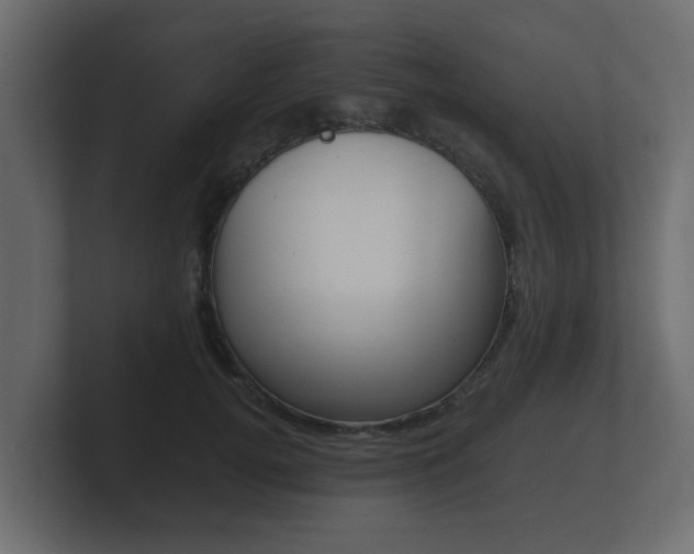 X0000101950752200807180702