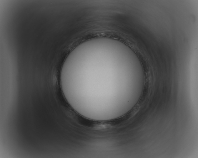 X0000101950754200807180702