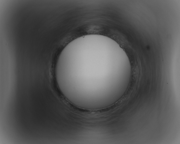 X0000101950755200807180702