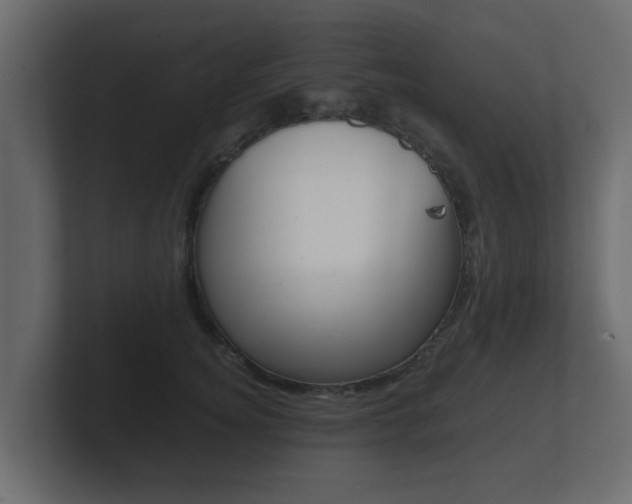 X0000101950756200807180702