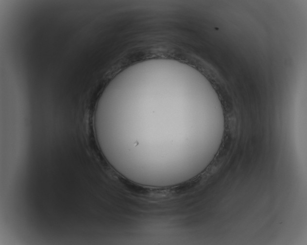 X0000101950757200807180702