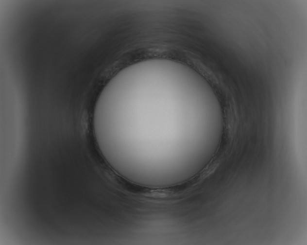 X0000101950758200807180702