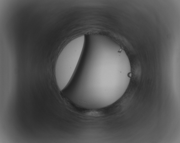 X0000101950759200807180702