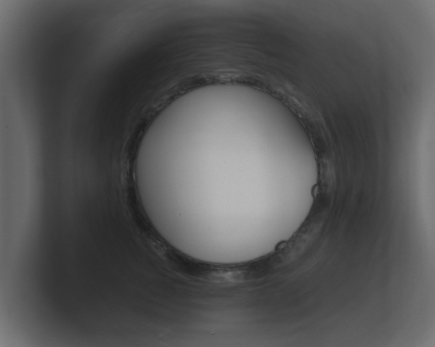 X0000101950760200807180702