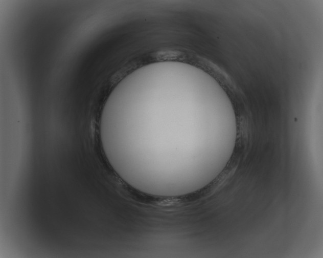 X0000101950761200807180702