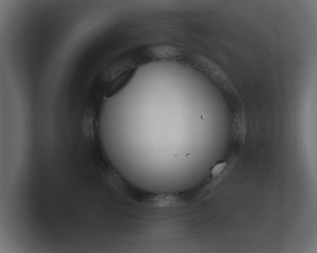X0000101950762200807180702