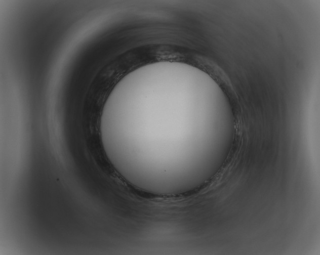 X0000101950763200807180702