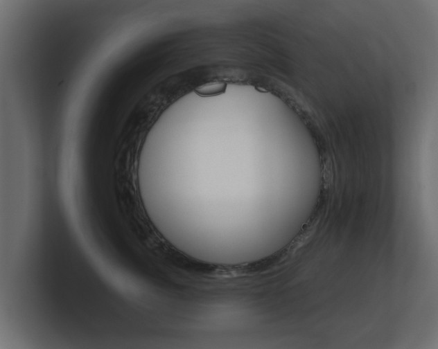 X0000101950764200807180702