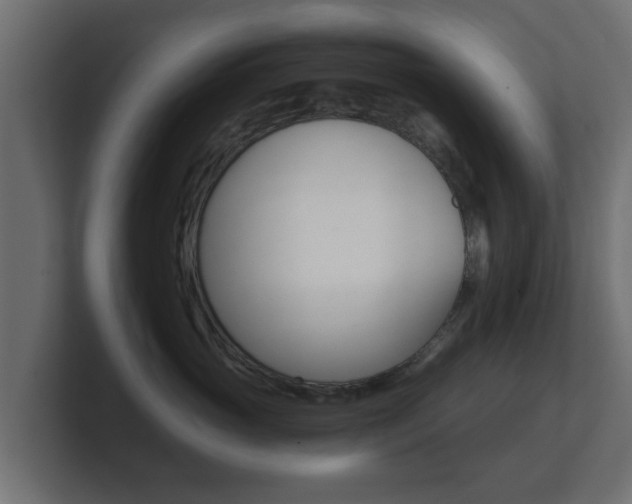 X0000101950765200807180702