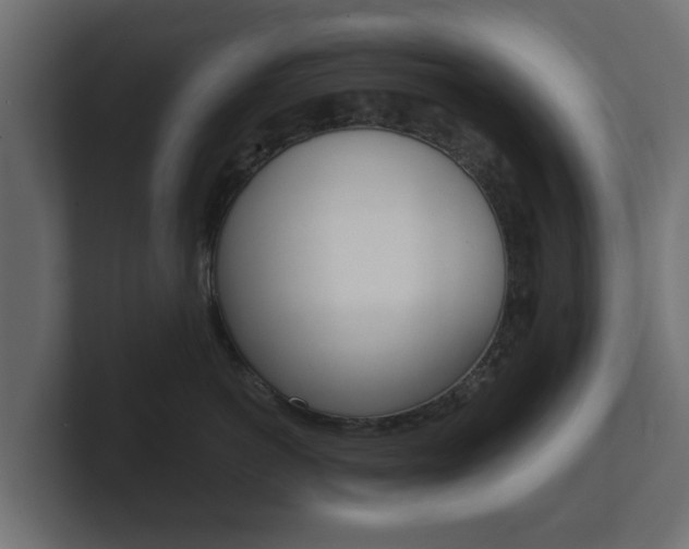 X0000101950766200807180702