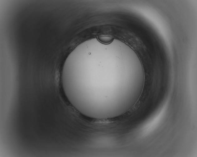 X0000101950767200807180702