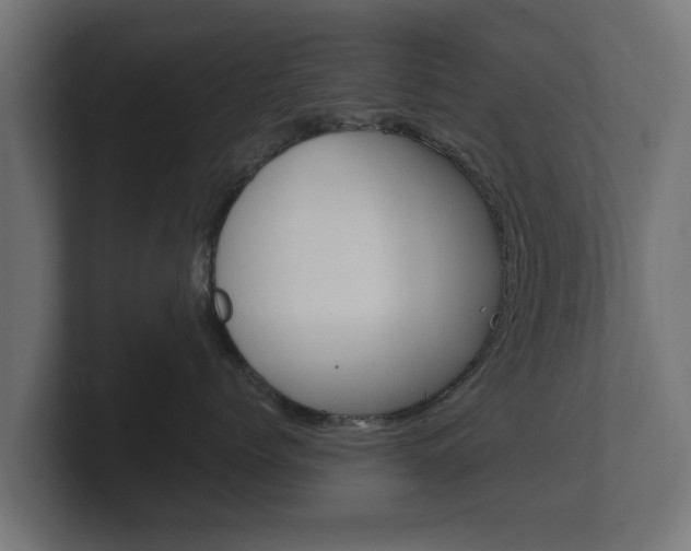 X0000101950768200807180702