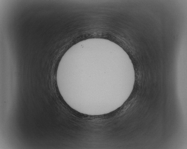 X0000101950769200807180702