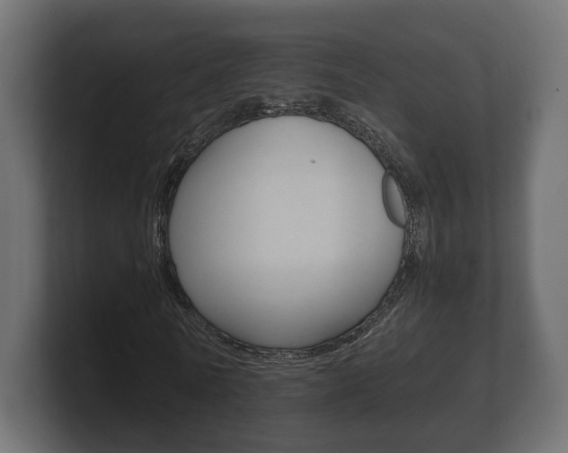 X0000101950770200807180702