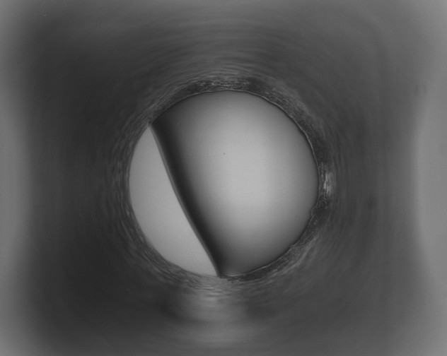 X0000101950771200807180702