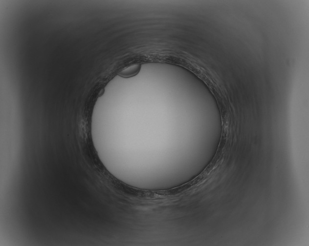 X0000101950772200807180702