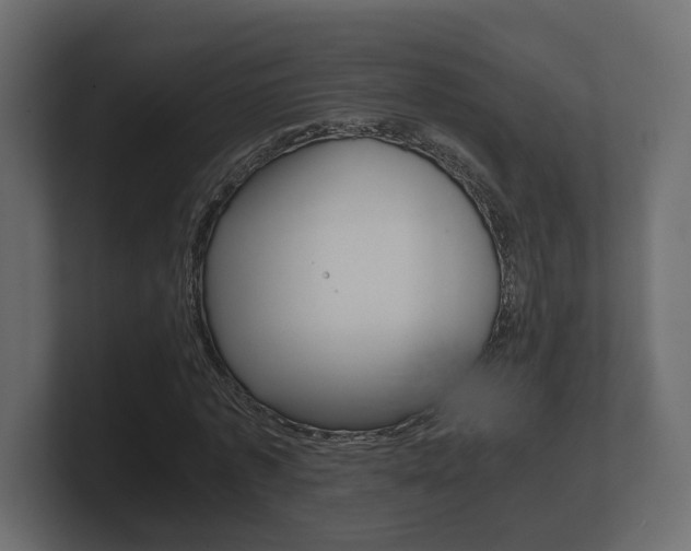 X0000101950773200807180702