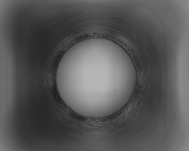 X0000101950774200807180702