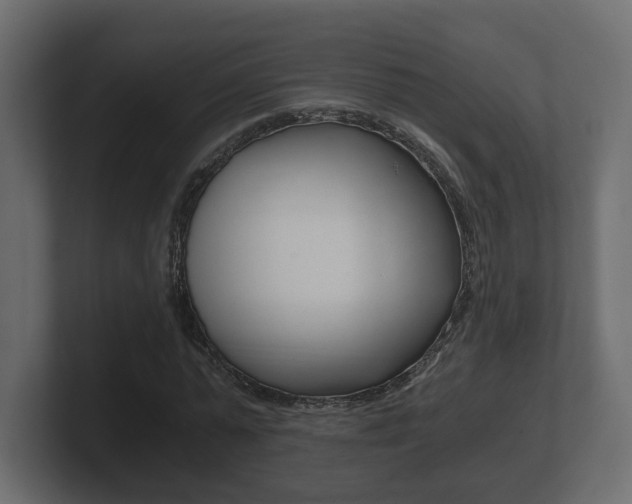 X0000101950775200807180702