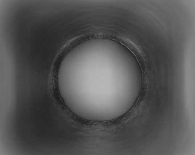 X0000101950776200807180702