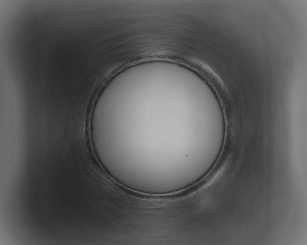 X0000101950777200807180702