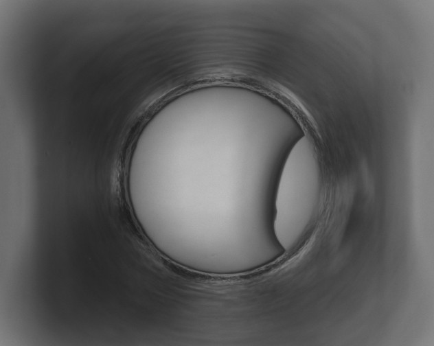 X0000101950778200807180702