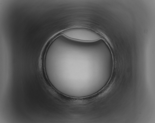 X0000101950779200807180702